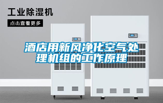 酒店用新風凈化空氣處理機組的工作原理