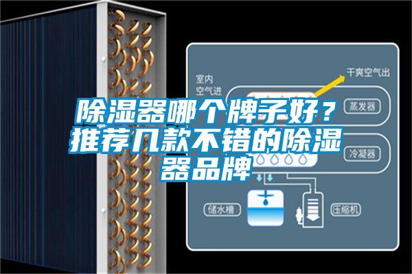 除濕器哪個(gè)牌子好？推薦幾款不錯(cuò)的除濕器品牌