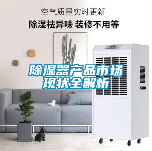 除濕器產(chǎn)品市場現(xiàn)狀全解析