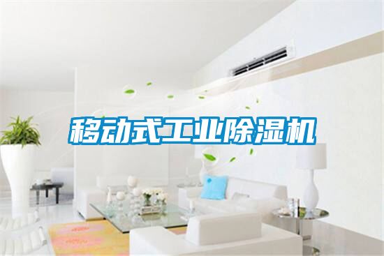 移動式工業(yè)除濕機(jī)