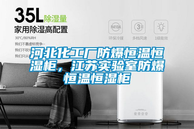 河北化工廠防爆恒溫恒濕柜，江蘇實(shí)驗(yàn)室防爆恒溫恒濕柜