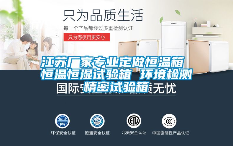 江蘇廠家專業(yè)定做恒溫箱 恒溫恒濕試驗(yàn)箱 環(huán)境檢測(cè)精密試驗(yàn)箱