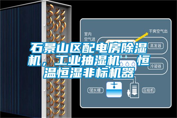 石景山區(qū)配電房除濕機，工業(yè)抽濕機  恒溫恒濕非標機器
