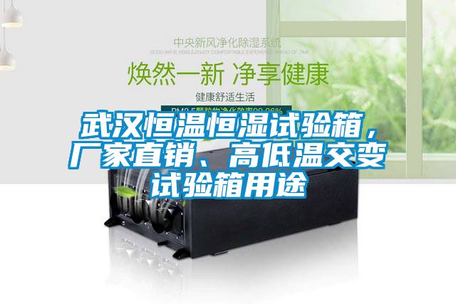 武漢恒溫恒濕試驗(yàn)箱，廠家直銷(xiāo)、高低溫交變?cè)囼?yàn)箱用途