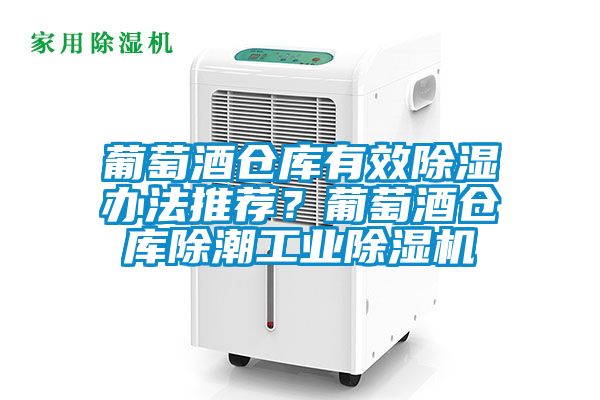 葡萄酒倉庫有效除濕辦法推薦？葡萄酒倉庫除潮工業除濕機