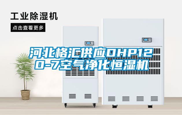 河北格匯供應(yīng)DHP120-7空氣凈化恒濕機(jī)