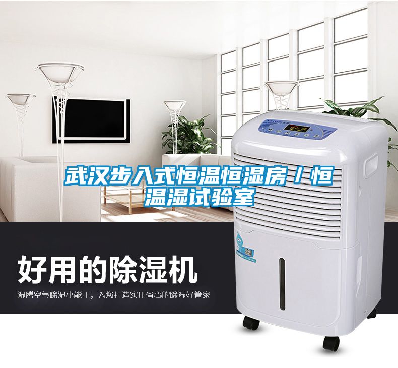 武漢步入式恒溫恒濕房／恒溫濕試驗室