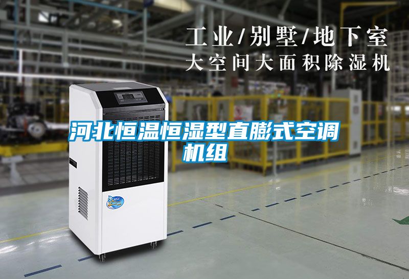 河北恒溫恒濕型直膨式空調機組