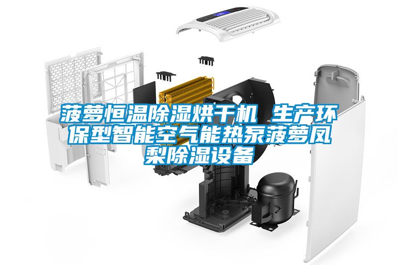 菠蘿恒溫除濕烘干機 生產環保型智能空氣能熱泵菠蘿鳳梨除濕設備