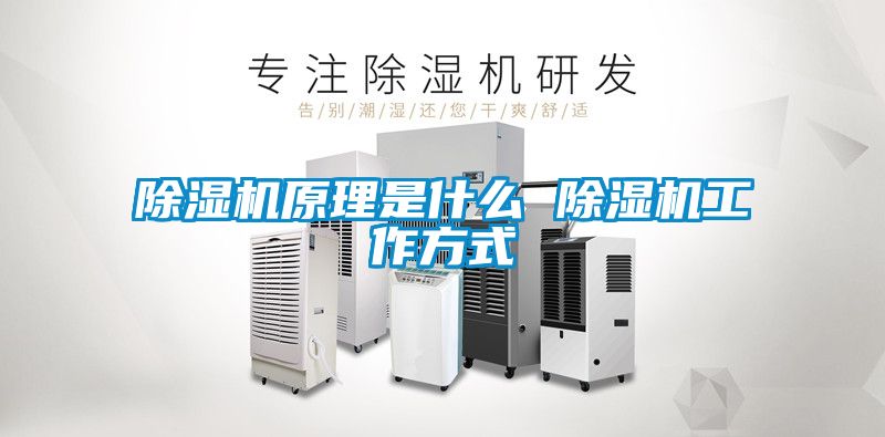 除濕機原理是什么 除濕機工作方式