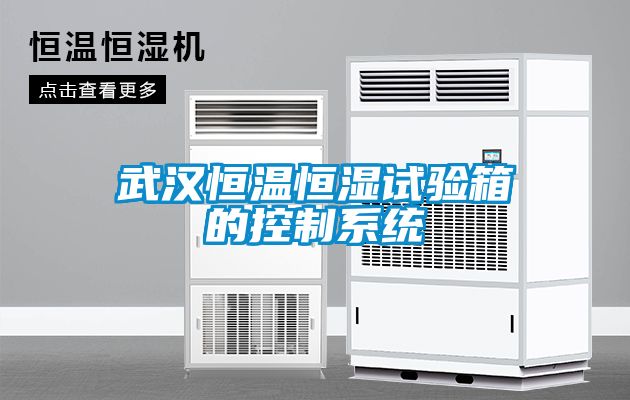 武漢恒溫恒濕試驗箱的控制系統