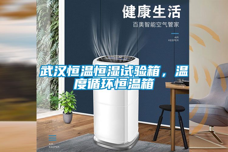 武漢恒溫恒濕試驗箱，溫度循環恒溫箱
