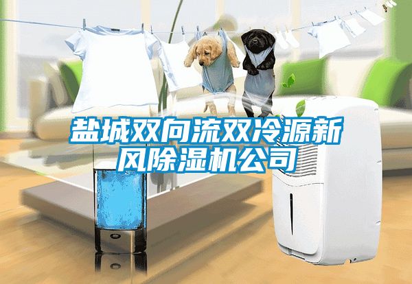 鹽城雙向流雙冷源新風除濕機公司