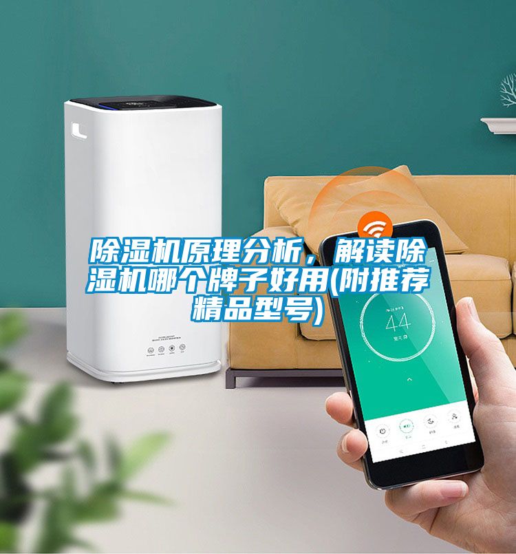 除濕機原理分析，解讀除濕機哪個牌子好用(附推薦精品型號)