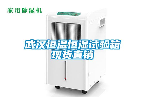 武漢恒溫恒濕試驗箱現貨直銷