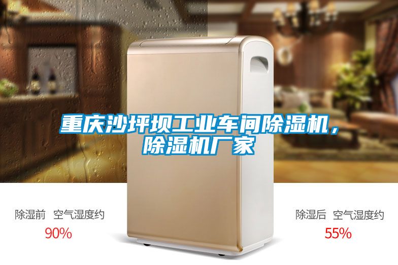 重慶沙坪壩工業(yè)車間除濕機，除濕機廠家