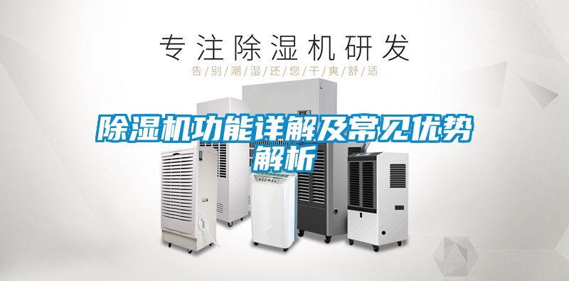 除濕機(jī)功能詳解及常見(jiàn)優(yōu)勢(shì)解析