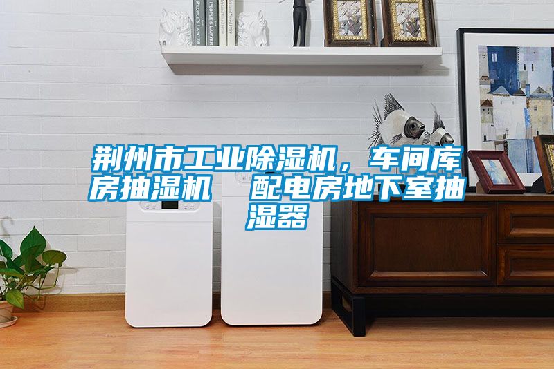 荊州市工業除濕機，車間庫房抽濕機  配電房地下室抽濕器
