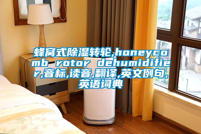 蜂窩式除濕轉(zhuǎn)輪,honeycomb rotor dehumidifier,音標,讀音,翻譯,英文例句,英語詞典