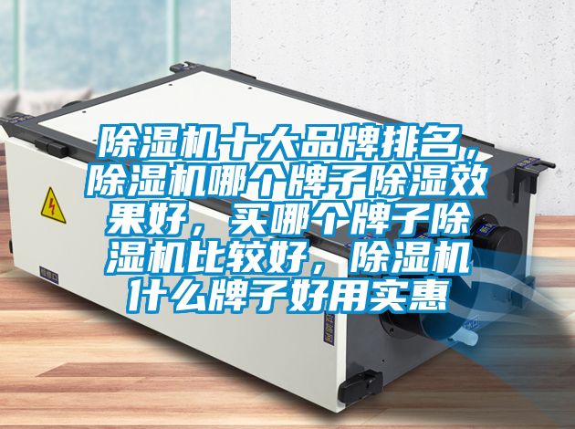 除濕機十大品牌排名，除濕機哪個牌子除濕效果好，買哪個牌子除濕機比較好，除濕機什么牌子好用實惠