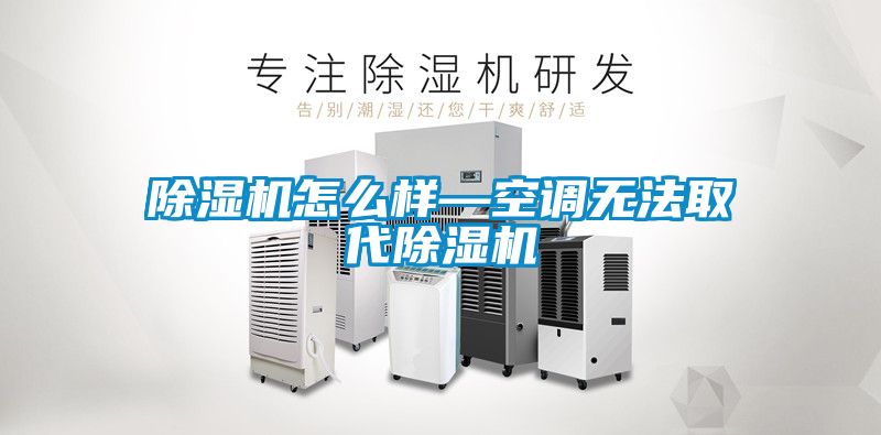 除濕機怎么樣—空調(diào)無法取代除濕機