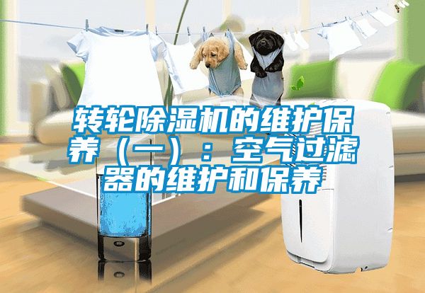 轉(zhuǎn)輪除濕機(jī)的維護(hù)保養(yǎng)（一）：空氣過(guò)濾器的維護(hù)和保養(yǎng)