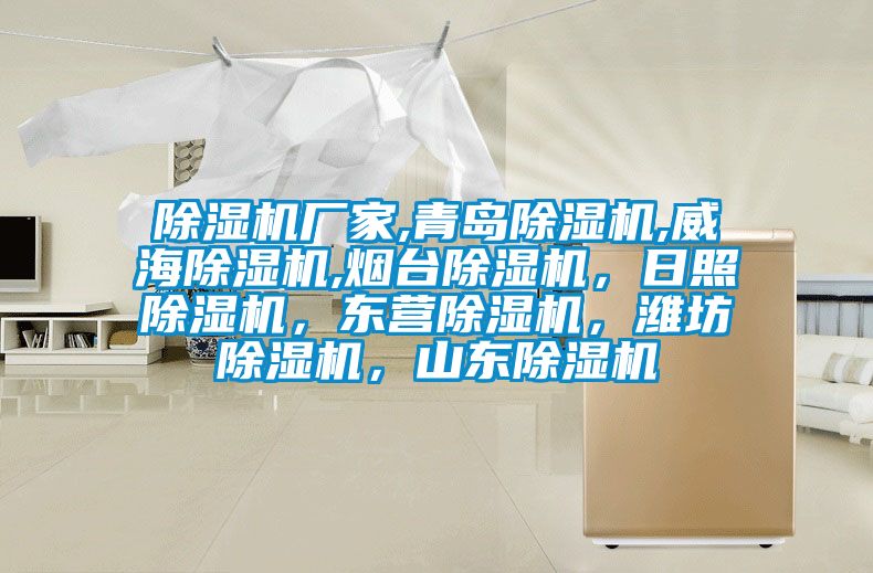 除濕機廠家,青島除濕機,威海除濕機,煙臺除濕機，日照除濕機，東營除濕機，濰坊除濕機，山東除濕機