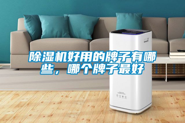 除濕機好用的牌子有哪些，哪個牌子最好