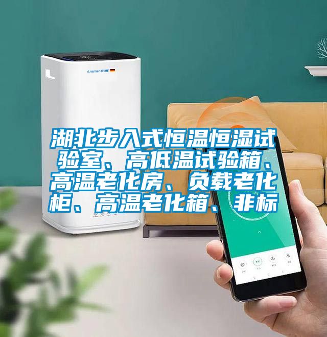 湖北步入式恒溫恒濕試驗室、高低溫試驗箱、高溫老化房、負載老化柜、高溫老化箱、非標