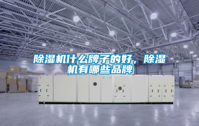 除濕機什么牌子的好，除濕機有哪些品牌
