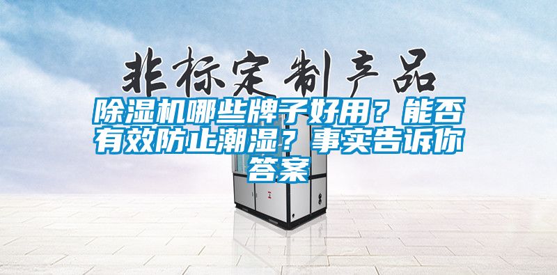 除濕機哪些牌子好用？能否有效防止潮濕？事實告訴你答案