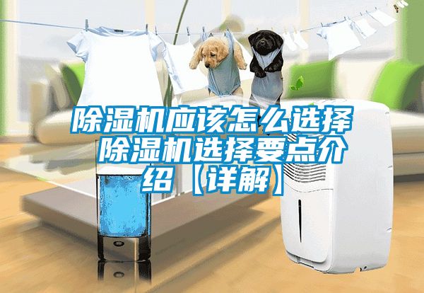 除濕機應該怎么選擇 除濕機選擇要點介紹【詳解】