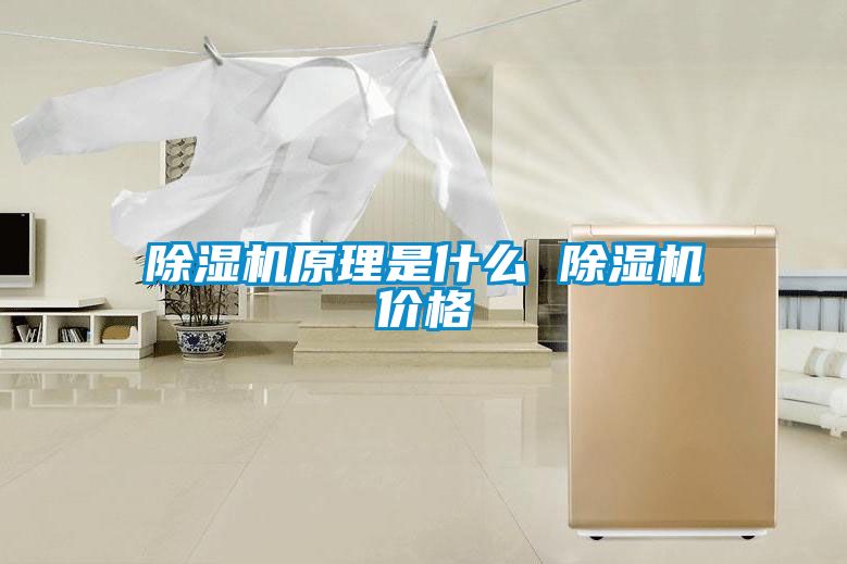 除濕機(jī)原理是什么 除濕機(jī)價(jià)格