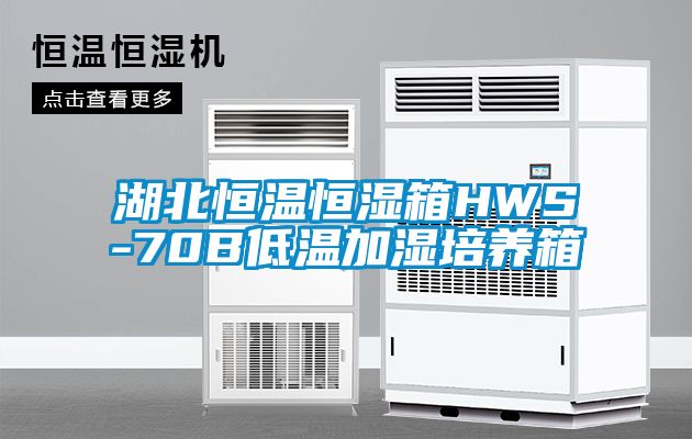 湖北恒溫恒濕箱HWS-70B低溫加濕培養箱