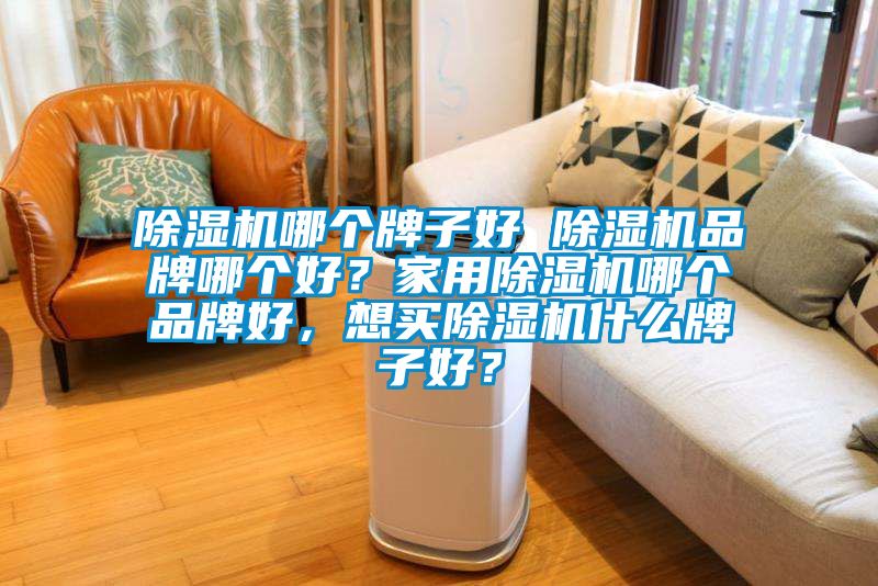 除濕機(jī)哪個牌子好 除濕機(jī)品牌哪個好？家用除濕機(jī)哪個品牌好，想買除濕機(jī)什么牌子好？