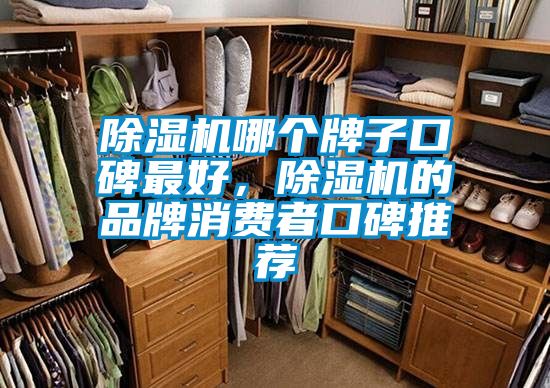 除濕機哪個牌子口碑最好，除濕機的品牌消費者口碑推薦