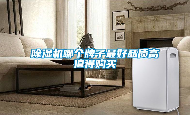 除濕機哪個牌子最好品質高值得購買