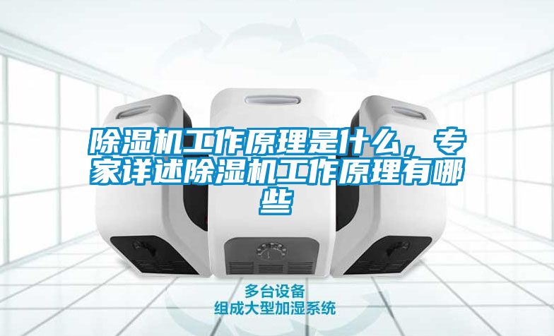 除濕機(jī)工作原理是什么，專家詳述除濕機(jī)工作原理有哪些