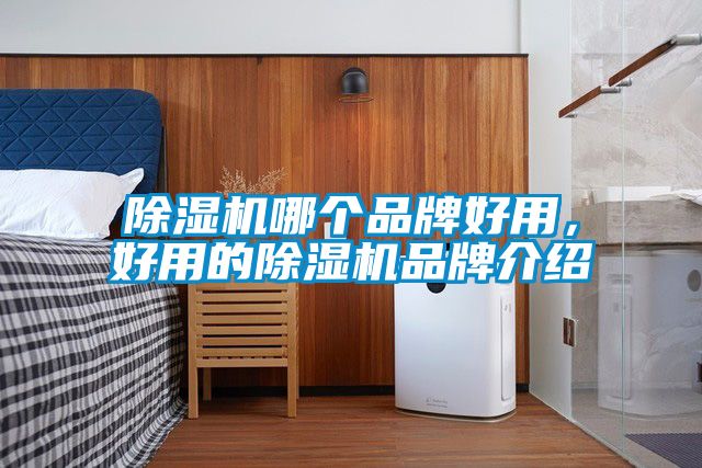 除濕機哪個品牌好用，好用的除濕機品牌介紹