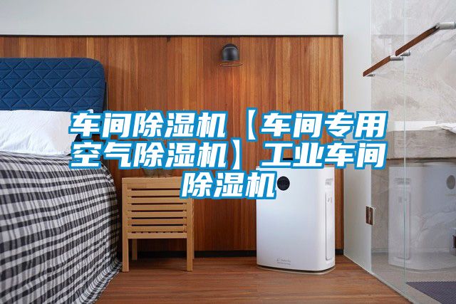 車(chē)間除濕機(jī)【車(chē)間專用空氣除濕機(jī)】工業(yè)車(chē)間除濕機(jī)