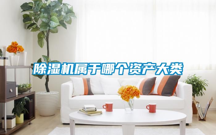除濕機屬于哪個資產大類