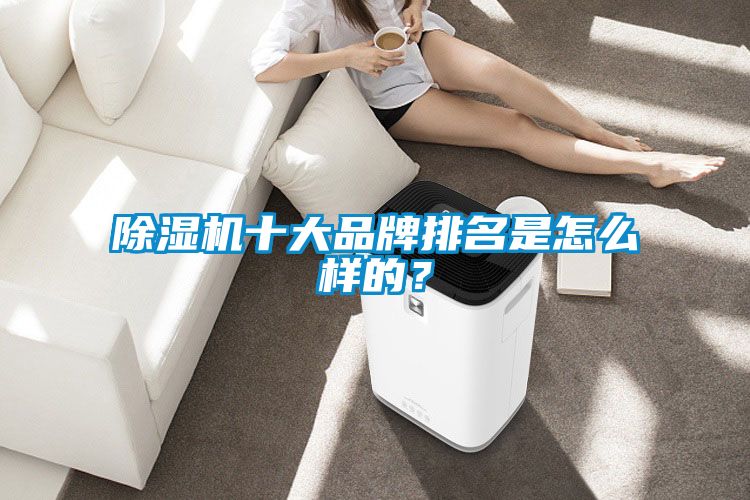 除濕機十大品牌排名是怎么樣的？