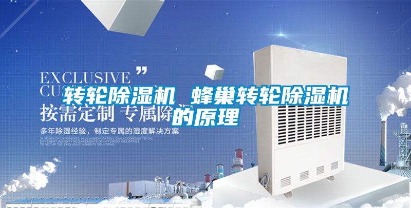轉(zhuǎn)輪除濕機 蜂巢轉(zhuǎn)輪除濕機的原理