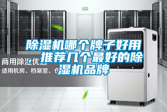 除濕機(jī)哪個(gè)牌子好用，推薦幾個(gè)最好的除濕機(jī)品牌