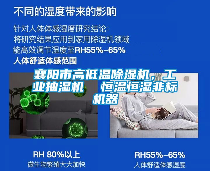 襄陽市高低溫除濕機，工業抽濕機  恒溫恒濕非標機器