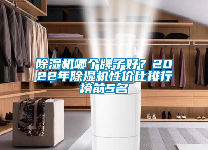 除濕機哪個牌子好？2022年除濕機性價比排行榜前5名