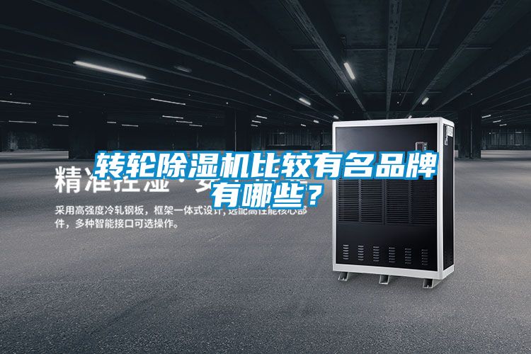 轉輪除濕機比較有名品牌有哪些？