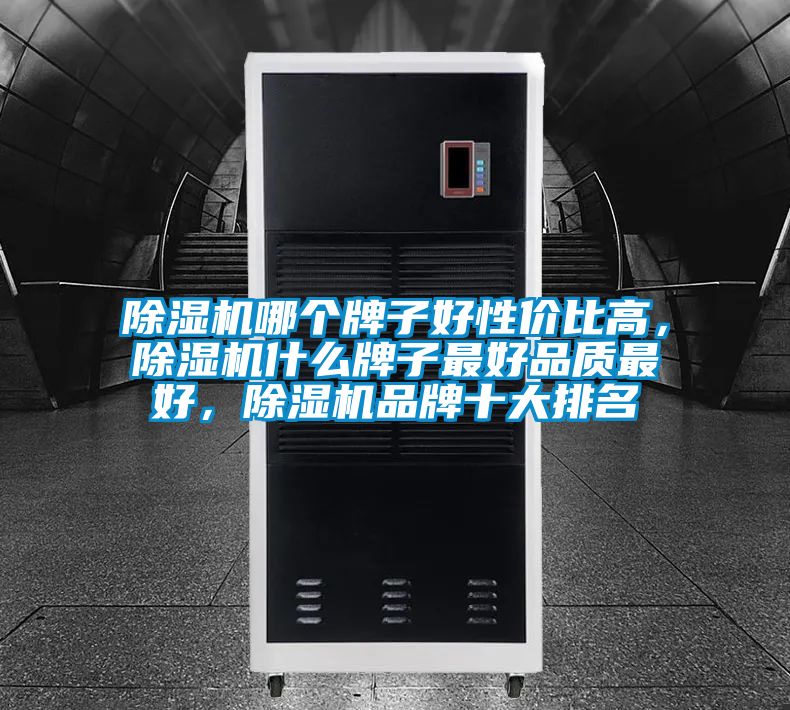 除濕機哪個牌子好性價比高，除濕機什么牌子最好品質最好，除濕機品牌十大排名