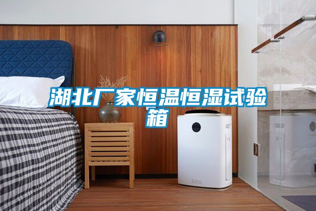 湖北廠家恒溫恒濕試驗箱