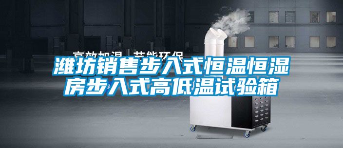 濰坊銷售步入式恒溫恒濕房步入式高低溫試驗(yàn)箱